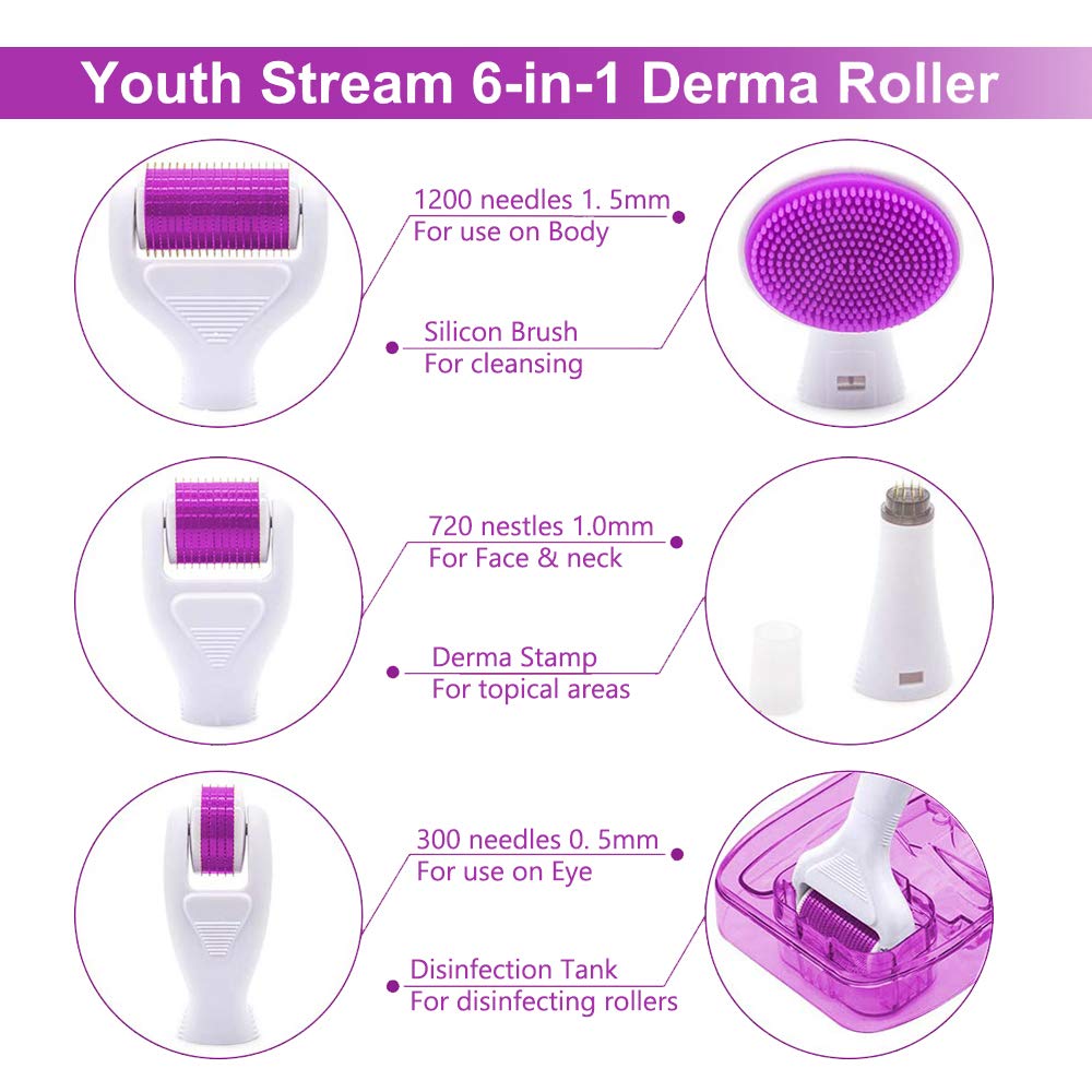6 in 1 Derma Roller System