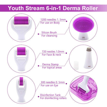 6 in 1 Derma Roller System