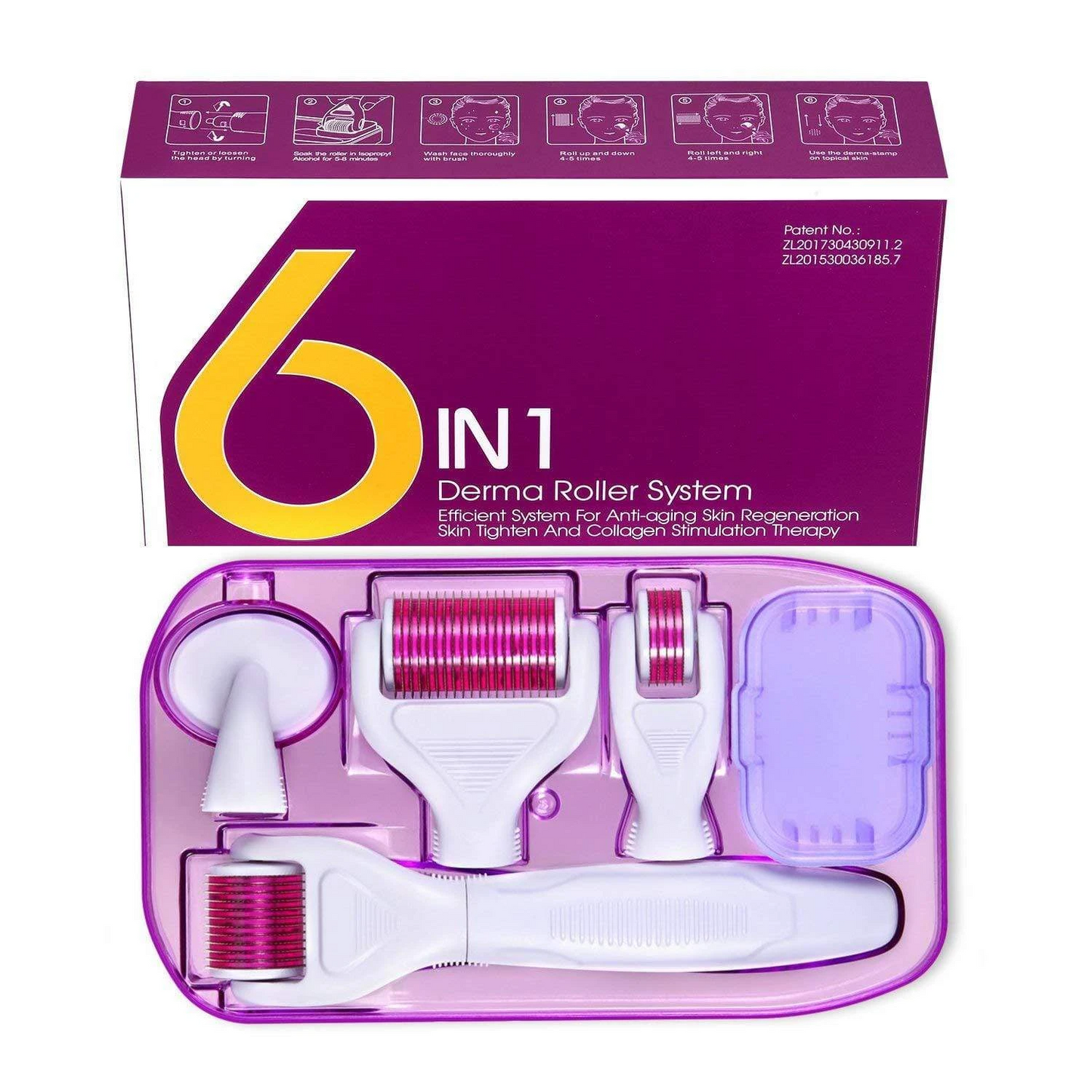 6 in 1 Derma Roller System