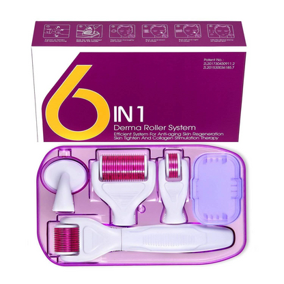 6 in 1 Derma Roller System