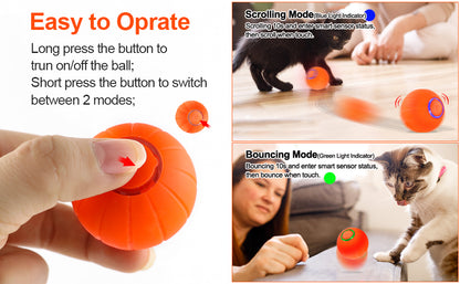 Small Bouncing Ball for Pets Gadget Play